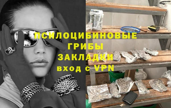 соль ск Михайлов